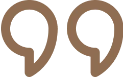 A pair of brown, curved objects with a smooth surface.