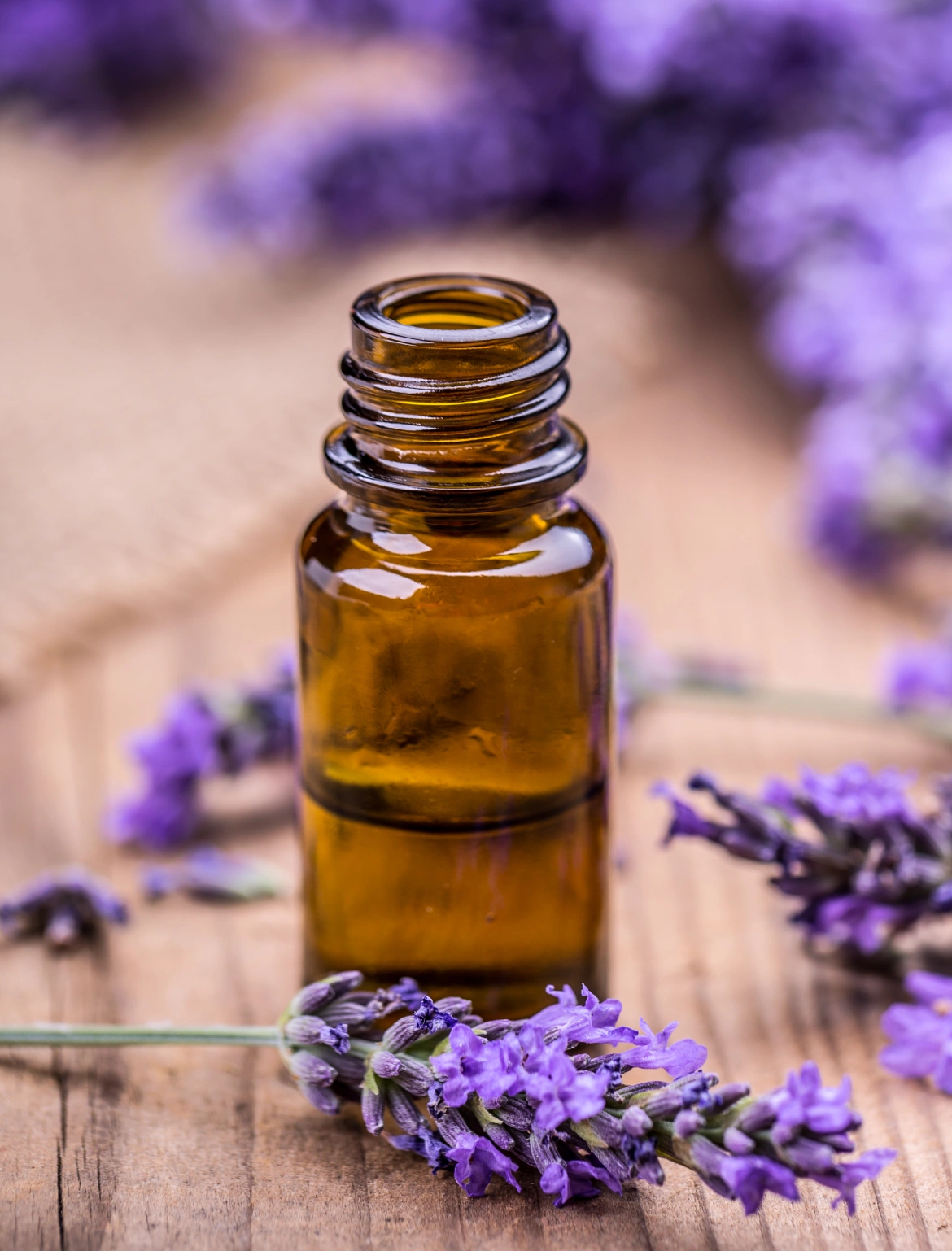 Amber bottle of essential oil with lavender flowers.