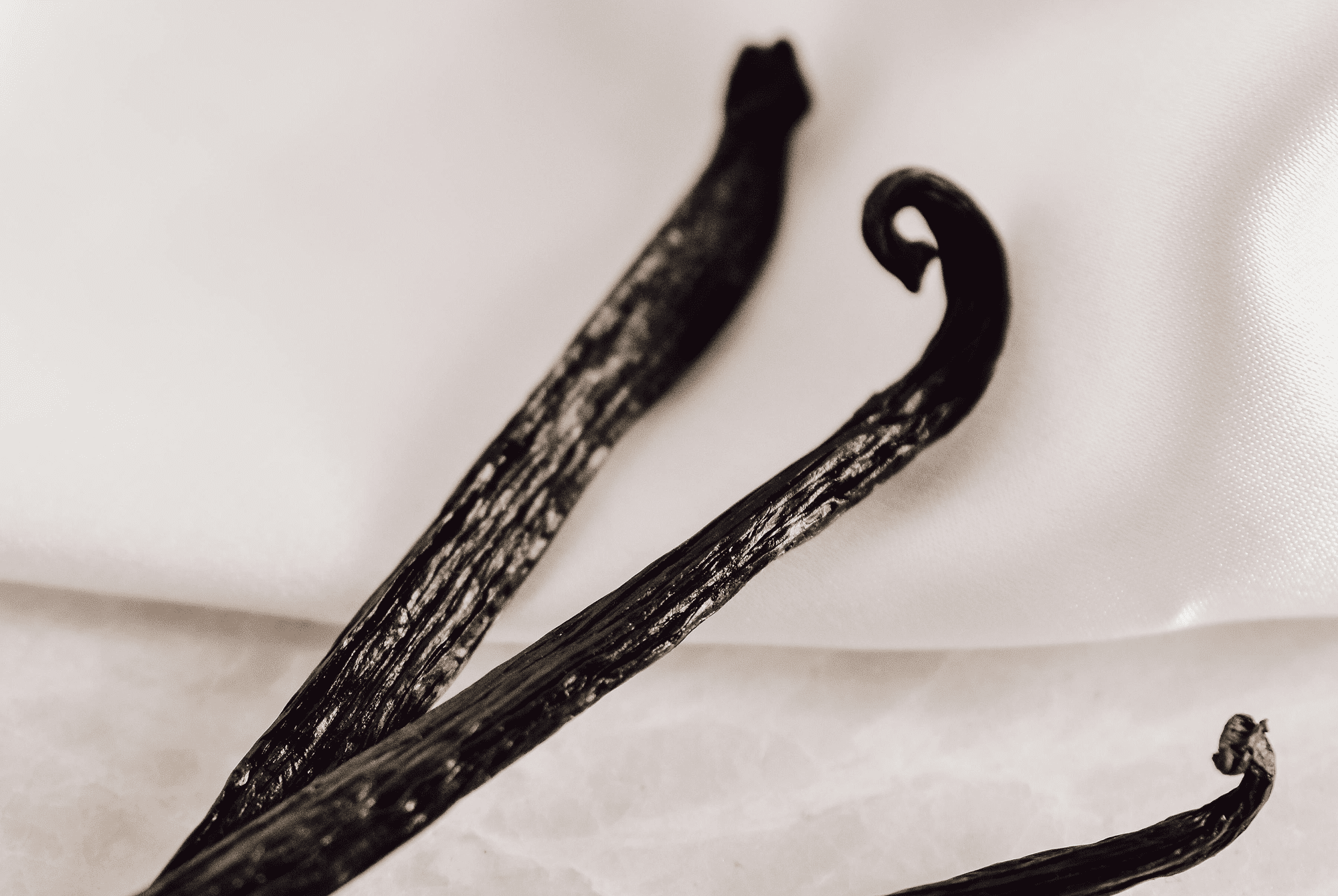 Close-up of two vanilla bean pods on a light fabric background.